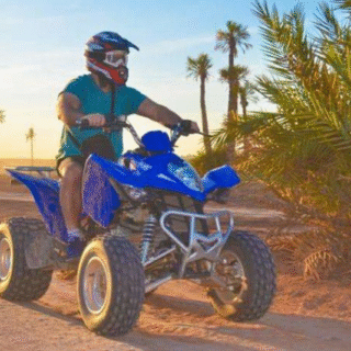 Marrakech Palmeraie quad biking and Moroccan mint tea experience — gallery view 4