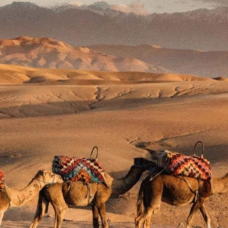 Agafay Camel Ride, Pool & Dinner Show, gallery photo 2