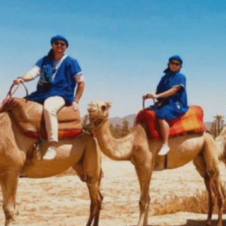 Marrakech Palmeraie quad biking and Moroccan mint tea experience — gallery view 5