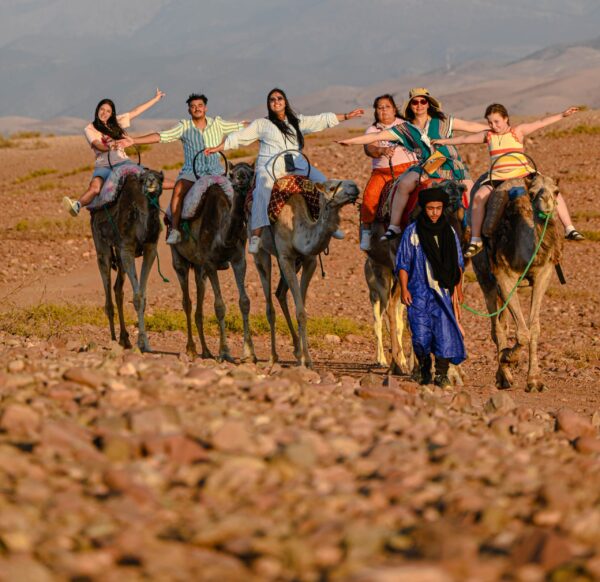 Agafay Desert camel ride, swimming pool and dinner show