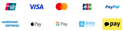 Logos of accepted payment methods including Visa, Mastercard, PayPal, American Express, Apple Pay, Google Pay, Samsung Pay, and others.