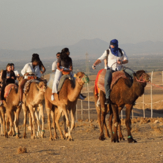 Agafay Desert camel ride at sunset near Marrakech