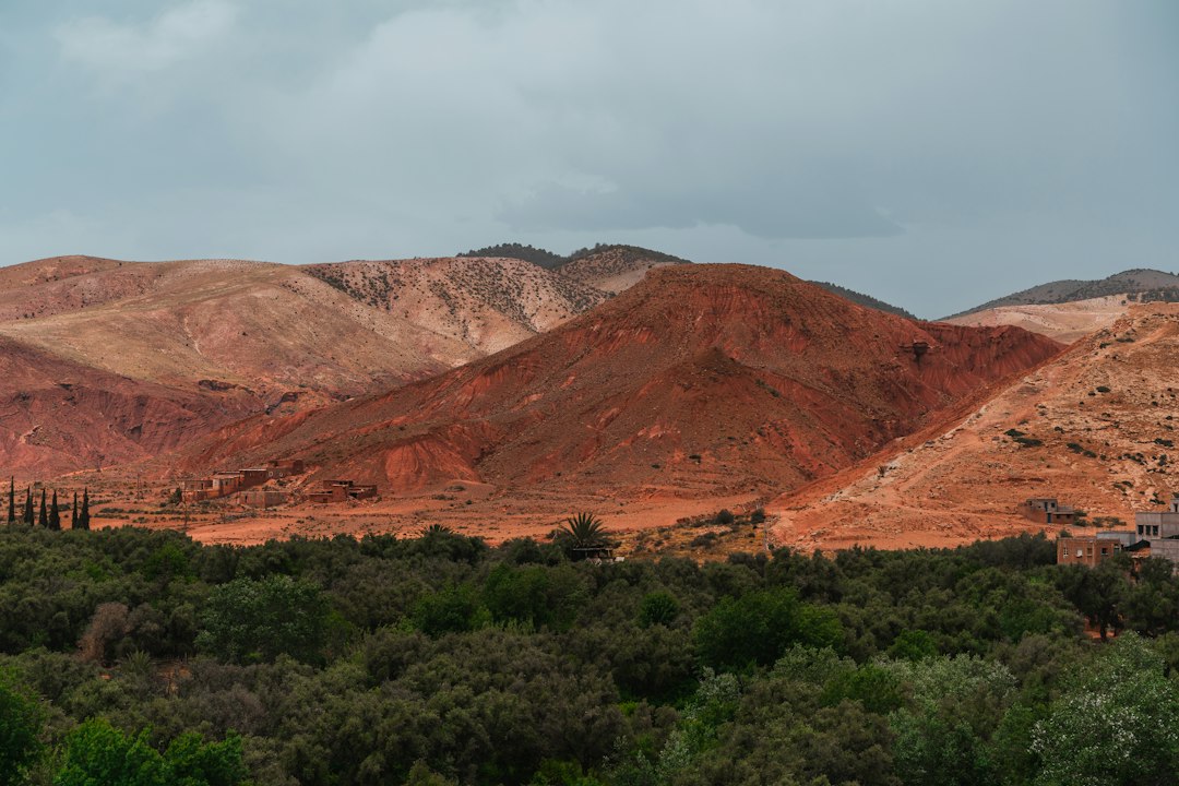 Best Day Trips from Marrakech: Complete Comparison