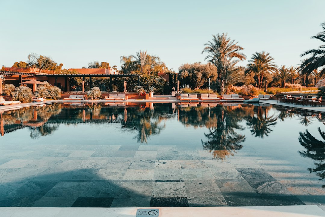 Elegant Marrakech riad rooftop pool and palm trees in Morocco